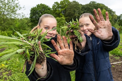Kippen, courgettes en vieze handen: in de schooltuin leer je door te doen