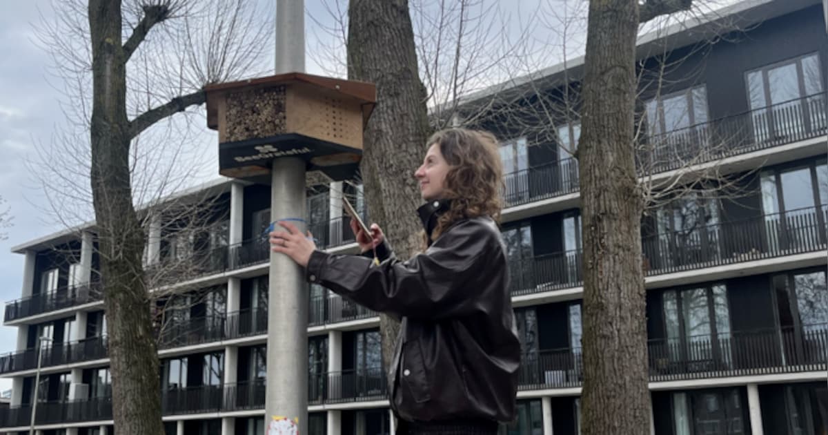 Gemeente Uitgeest zoekt helpers voor bijenonderzoek
