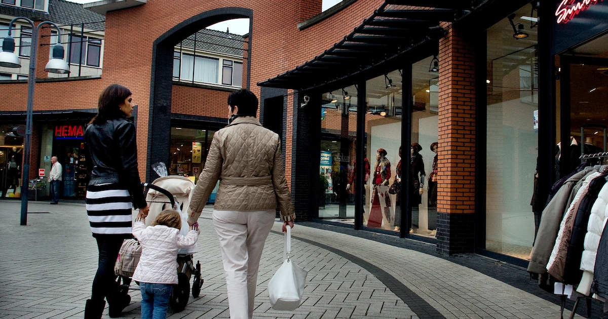 Beveiligers in winkelcentra om problemen in de kiem te smoren: wat vind jij daarvan?