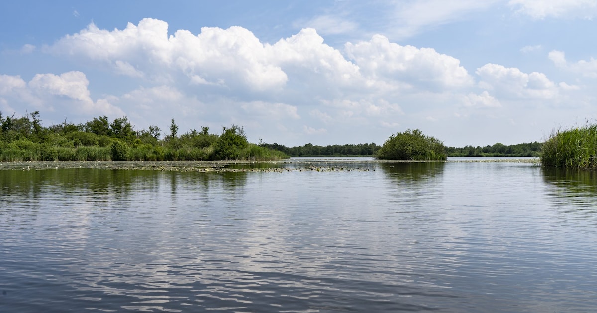 Waterschap Amstel, Gooi en Vecht breidt droogtemaatregelen uit in Vechtplassengebied