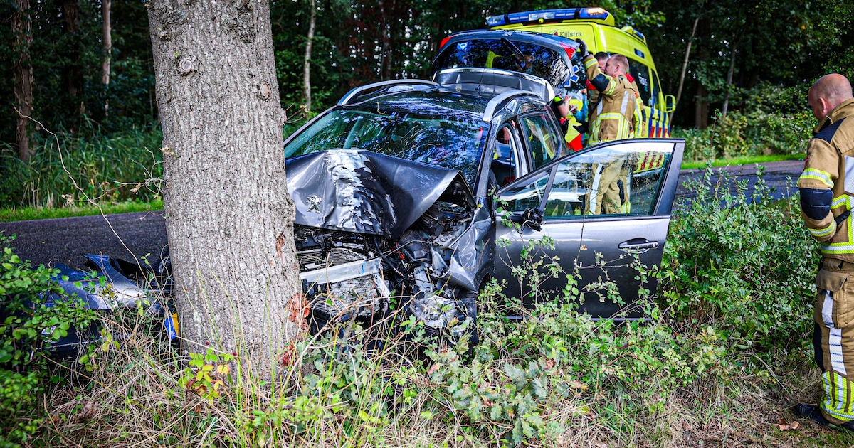 Automobilist tegen boom gebotst in Noardburgum