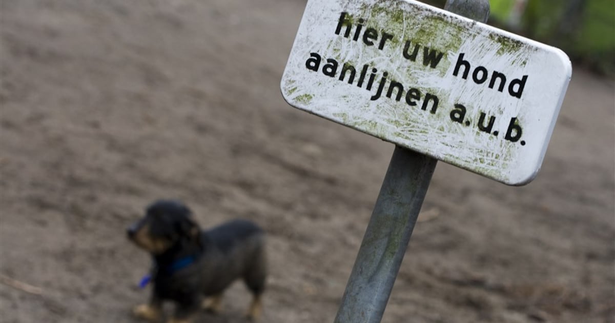 Aanlijnplicht honden uitgebreid bij Brunssummerheide