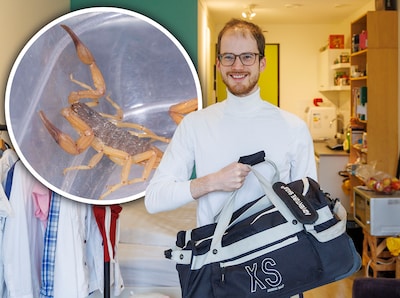 Na zijn vakantie is Bram bijna klaar met uitpakken, tot er iets giftigs beweegt: ‘Ik heb mijn tas me