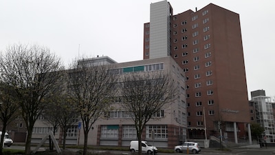 Image related to the article