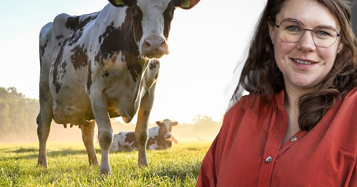 Wat vind jij: moeten er huizen op boerenerven verrijzen, of niet?