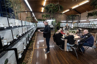 Vogelliefhebbers showen prachtige prachtvinken: ‘Het is passie en ontspanning’