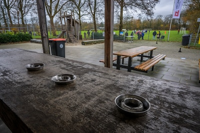 Image related to the article