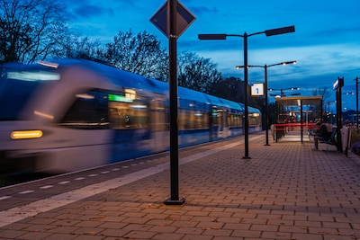 Image related to the article