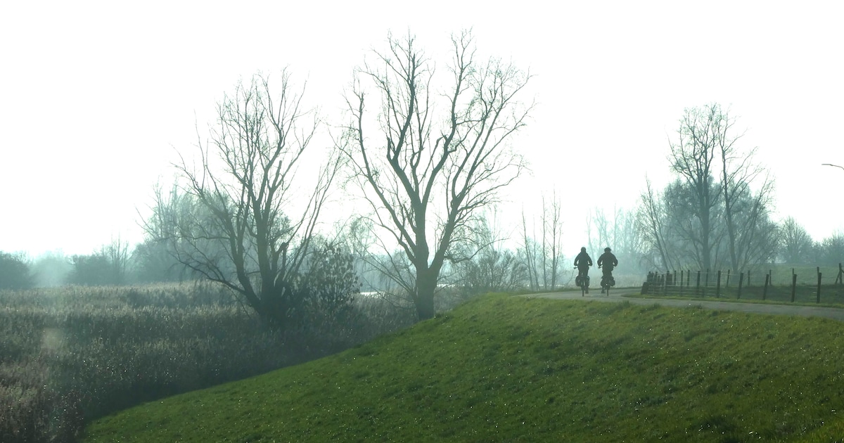 Inloopavonden over dijkversterking tussen Salmsteke en Schoonhoven
