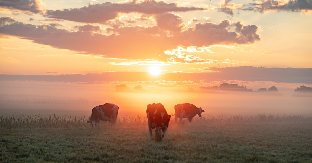 Stuur je mooiste herfstfoto in van de zonsopkomst of zonsondergang in Kaag en Braassem! | Foto