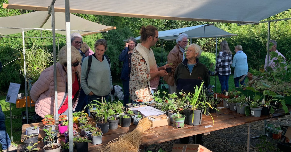 Plantenruil bij Stadsboerderij Beeklust in Almelo