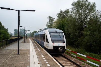 Image related to the article