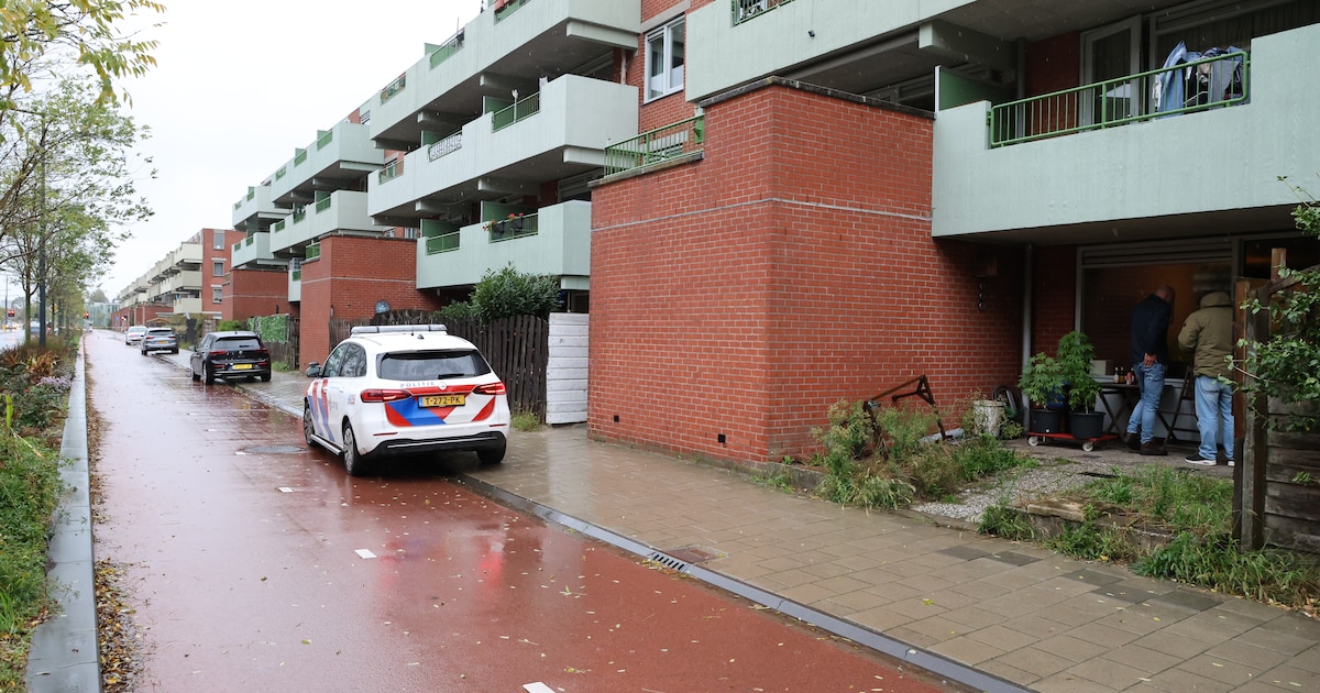 Bij mislukte ontvoering in Delft werd verkeerde man aangevallen: ‘In busje trekken en direct martele