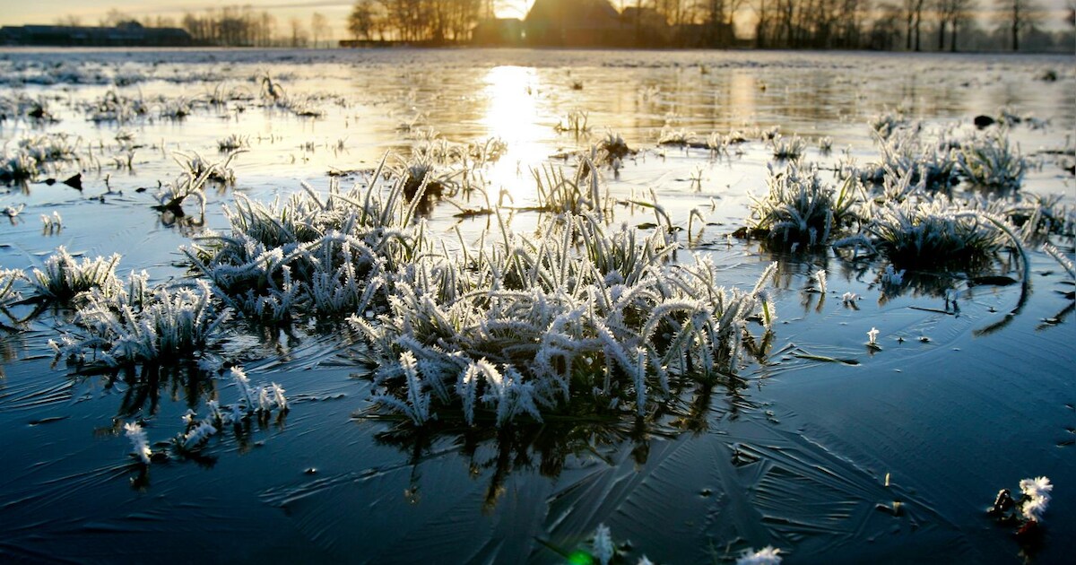Daar is de winter: eerste vorst van het seizoen een feit | Nieuws | AD.nl