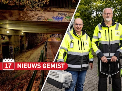 Gemist? De engste plekken in Twente en Berkelland & Slachthuis wil ontsnapte geit terug, maar Max en