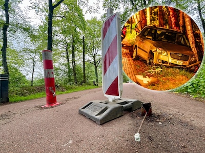 Image related to the article