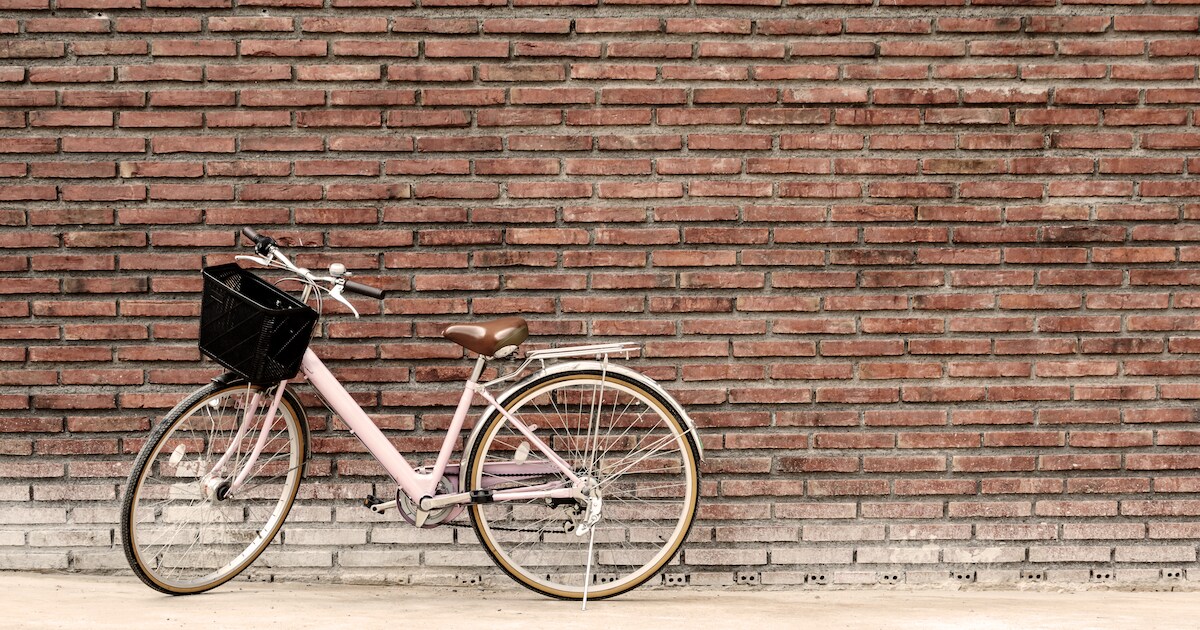 Fietsendieven Wateringen en Kwintsheul zijn vastgelegd op camera