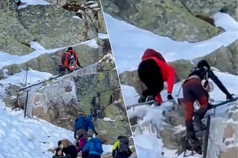 het-koppel-sloeg-advies-van-ervaren-gidsen-om-te-stoppen-in-de-wind-en-ging-door-met-de-klim