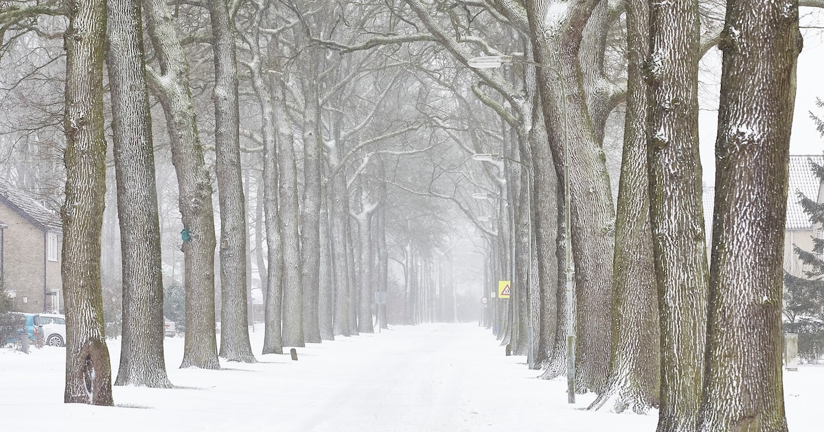 Pogingen om strooizout naar eiland te halen mislukt: Vlieland waarschuwt voor gladde wegen