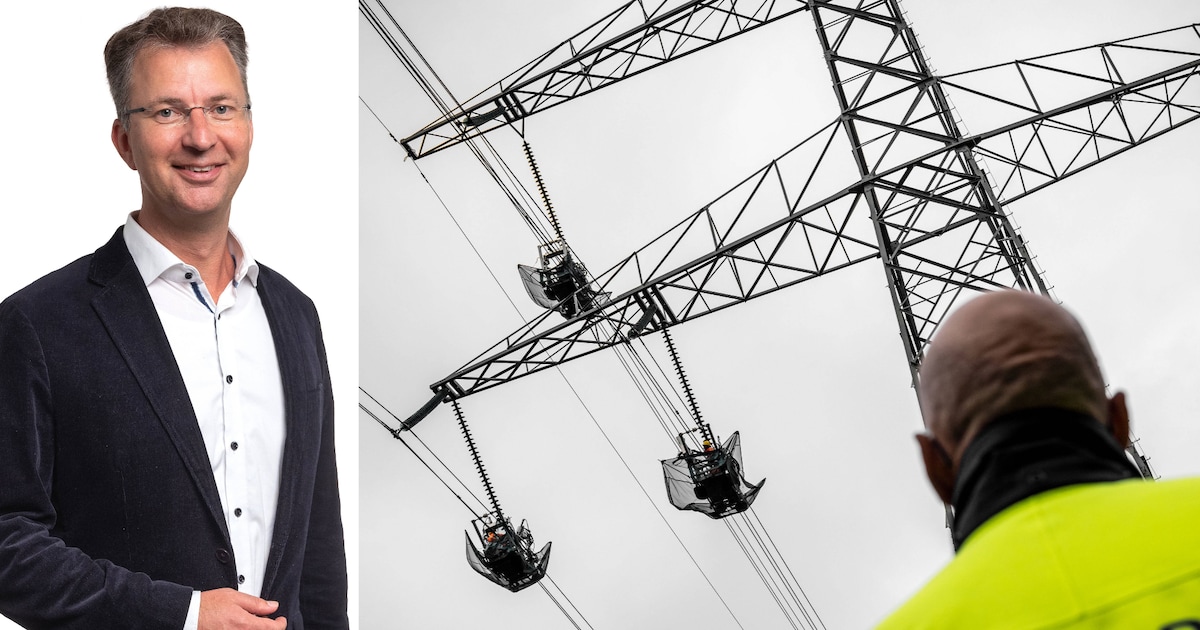 Stroomnet vol want de ganzen gingen voor