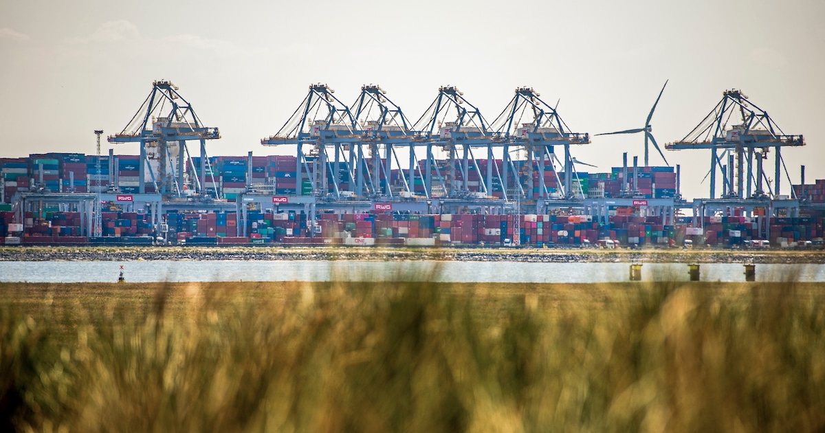 Rotterdam legt 55 hectare nieuw land aan voor groene bedrijven | Regio ...