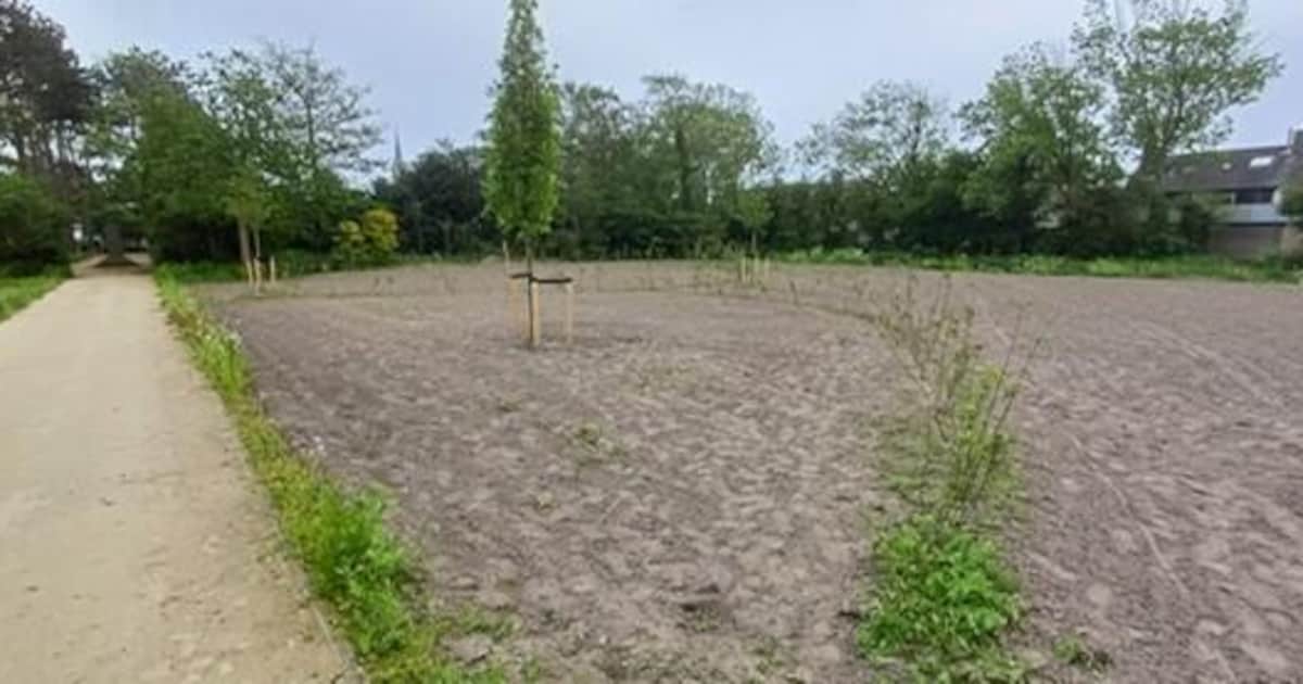 Schagen krijgt eerste natuurgedenkpark in Sint Maartensbrug