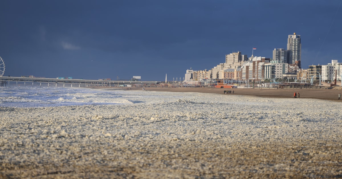 Zee bij Scheveningen bedekt met levensgevaarlijk schuim: precies 6 jaar nadat surfers daardoor omkwa