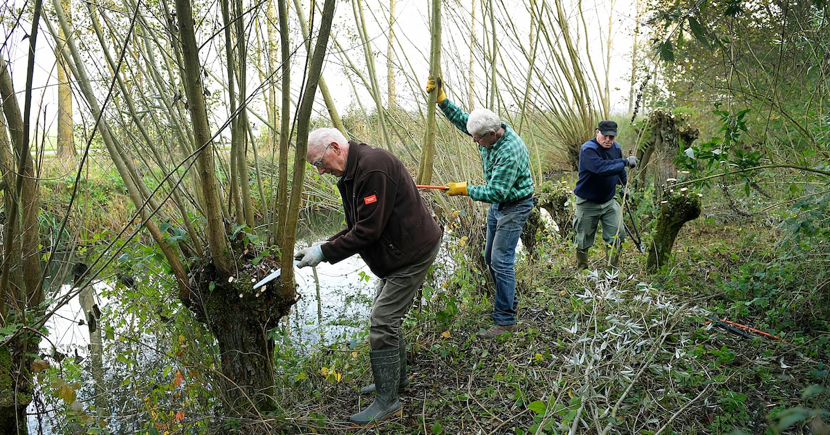 Bijzondere winterwandeling in Alblasserbos met boswachter Ron Leeuwis