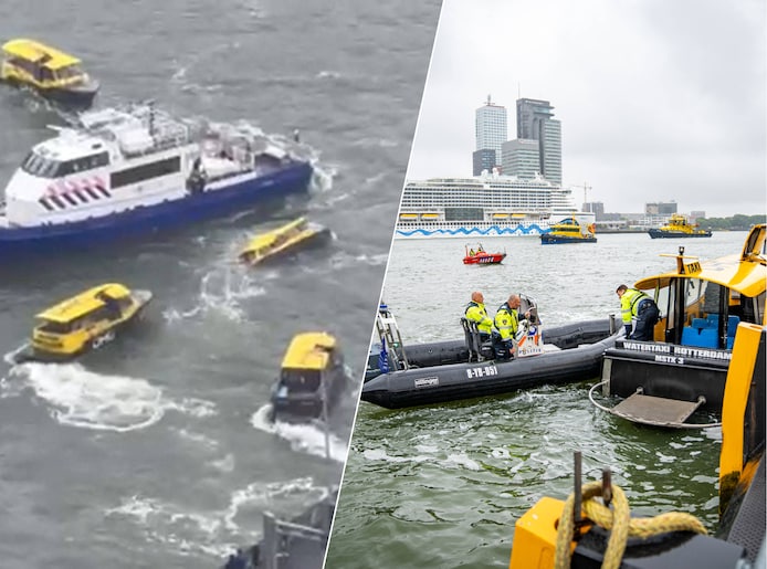 Équerre de fixation sphérique pour Aquamobil - Bantam Wankmüller SA